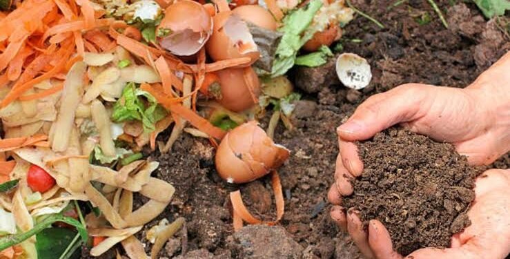 Soil Organic Carbon