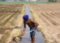Sprinkler Irrigation