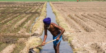 Sprinkler Irrigation