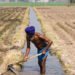 Sprinkler Irrigation