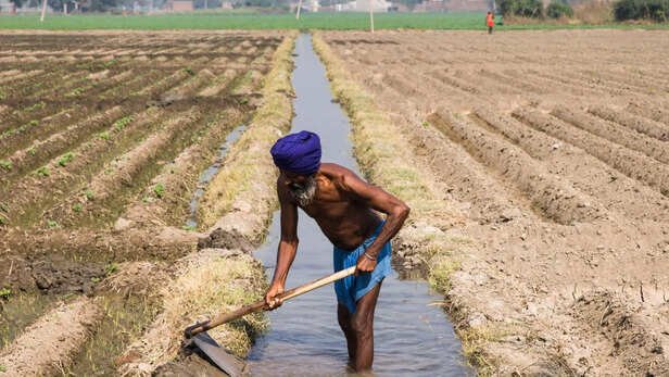 Sprinkler Irrigation