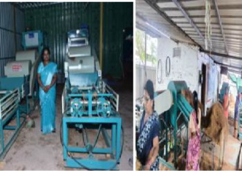 From coconut husk to enterprise: Coir fibre is reshaping the rural economy