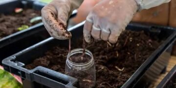 Vermicompost Business
