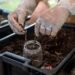 Vermicompost Business