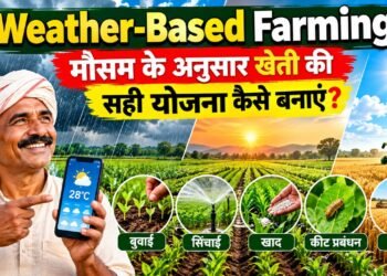 Weather Based Farming