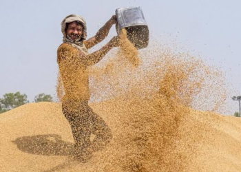 Wheat Price Increase