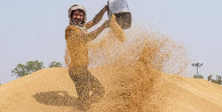 Wheat Price Increase