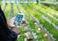 AI Farming Technology
