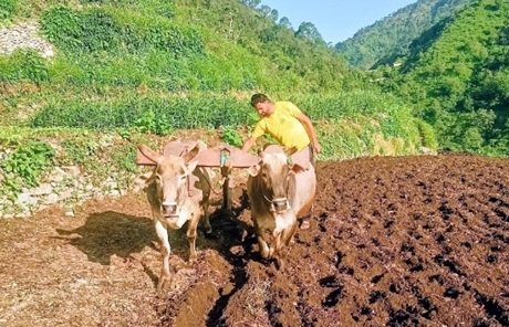 प्रशिक्षण