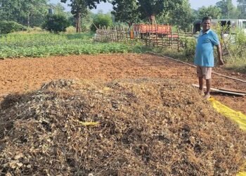 Organic Farming Subsidy