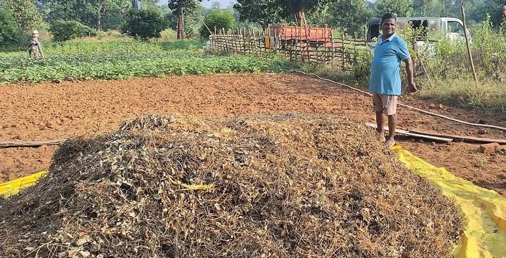 Organic Farming Subsidy