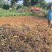 Organic Farming Subsidy