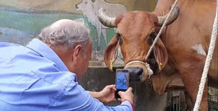 Livestock Insurance Portal launched tomorrow, digital insurance services available in 12 languages; policy and claim related work will become easier for livestock farmers.