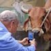 Livestock Insurance Portal launched tomorrow, digital insurance services available in 12 languages; policy and claim related work will become easier for livestock farmers.