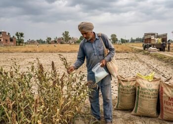 अगस्त में कम बारिश के कारण उर्वरक बिक्री में गिरावट