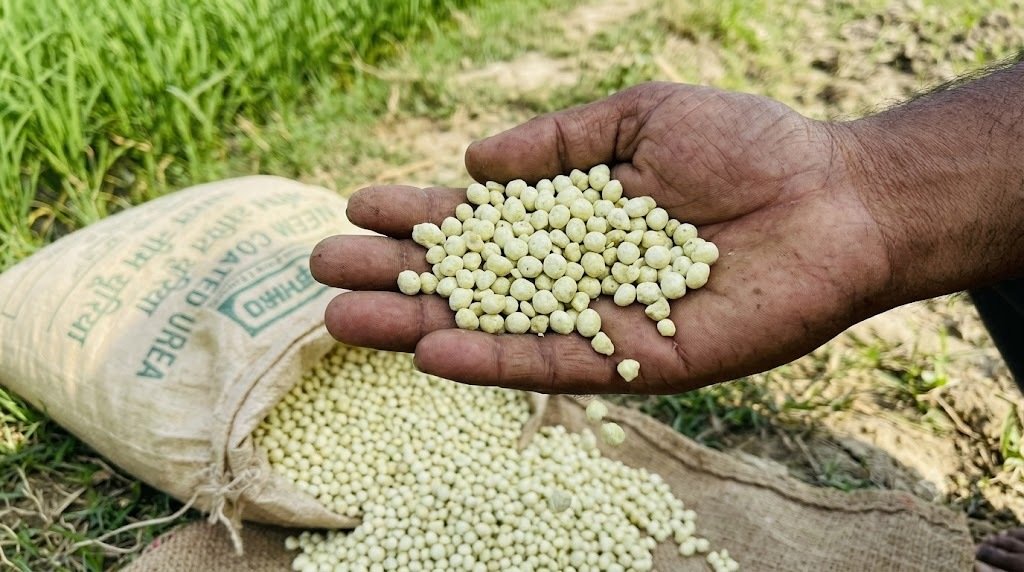 भारत के यूरिया आयात टेंडर में कीमतों में गिरावट और उर्वरक आपूर्ति