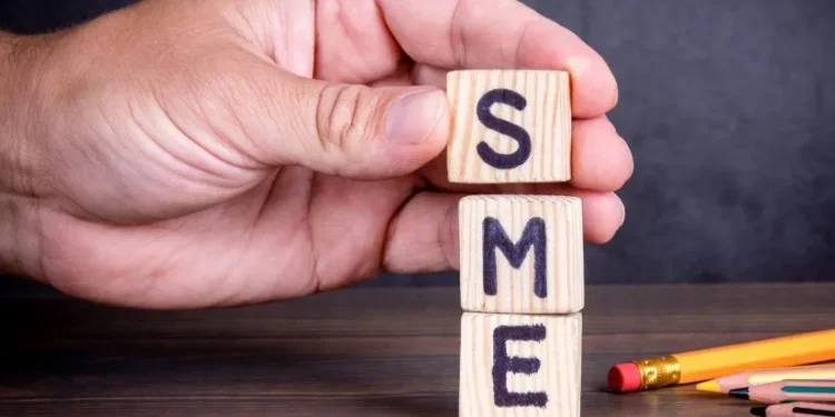 ₹10,000 crore SME Growth Fund: Small and medium enterprises will get growth equity, government's focus on creating global champions