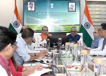Stubble stubble will increase farmers' income! The central government has made a major plan, focusing on electricity, bio-CNG, and fertilizer production.