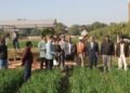 Agriculture Research in Hindi