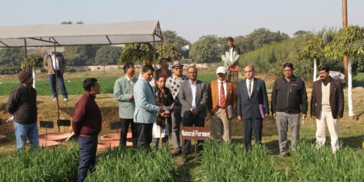 Agriculture Research in Hindi