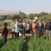 Agriculture Research in Hindi
