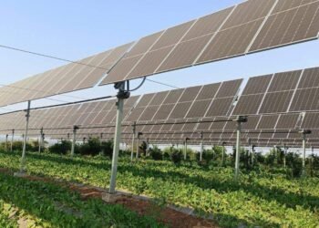 Agrivoltaics Model
