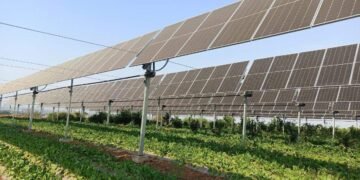 Agrivoltaics Model