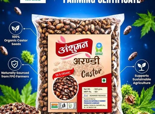 Farmer Producer Company of Barmer is setting a new example of castor production through natural farming.