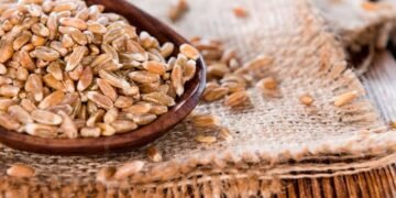 Best Wheat Varieties 2026