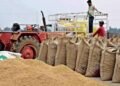 CG Paddy Procurement