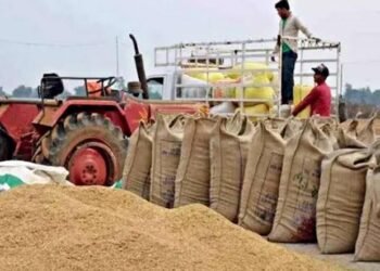 CG Paddy Procurement