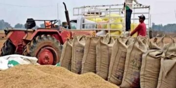 CG Paddy Procurement