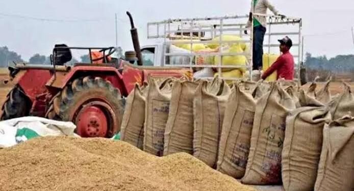 CG Paddy Procurement