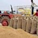 CG Paddy Procurement