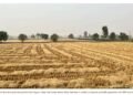 Crop Residue Management