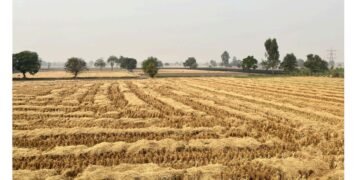 Crop Residue Management