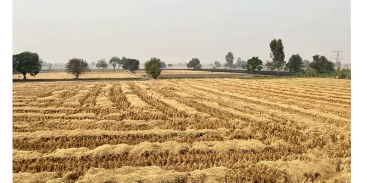 Crop Residue Management