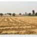 Crop Residue Management