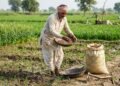 DAP और अन्य उर्वरकों पर बढ़ती खाद सब्सिडी