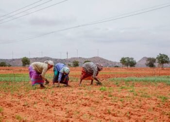 El Nino Impact on Rabi Crops