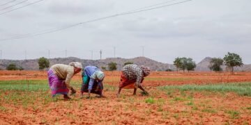 El Nino Impact on Rabi Crops