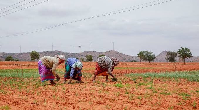 El Nino Impact on Rabi Crops