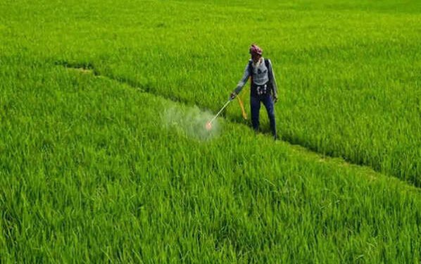 किसानों के हित में संतुलित नीति की जरूरत
