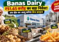 French Fries Plant