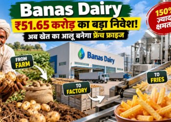 French Fries Plant