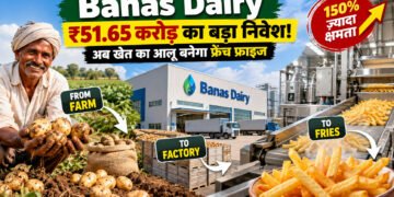 French Fries Plant