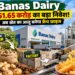 French Fries Plant