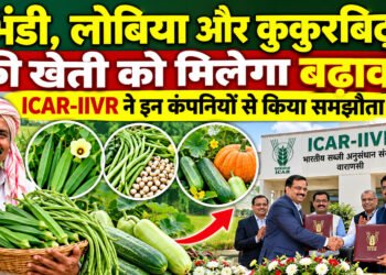 ICAR-IIVR