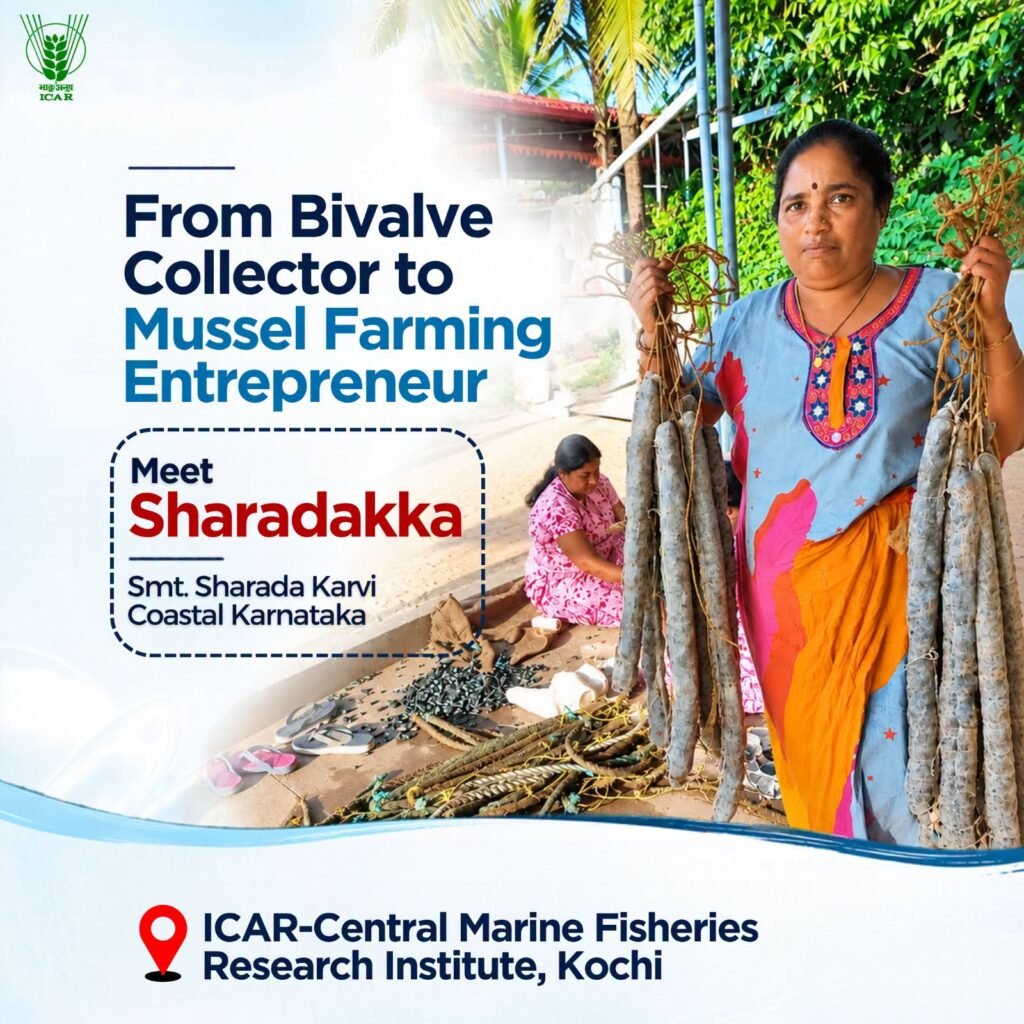 What began as a traditional livelihood became a thriving enterprise for Sharadakka (Smt. Sharada Karvi) of coastal Karnataka. With technical guidance from ICAR-CMFRI, she expanded her mussel farming from 200 seeded ropes in 2010 to 3,000 in 2024—a remarkable 15-fold growth!