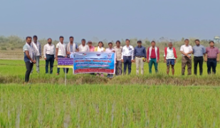ICAR's scientific initiative has transformed farming in tribal villages of Odisha, increasing farmers' income through cultivation of rice, vegetables, animal husbandry, and fisheries.